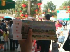 -广东茂名森林公园