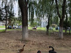 -蓝地时尚庄园(北京清河营地铁站店)