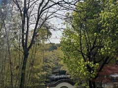 -求雨山文化公园