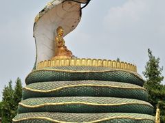 -洛阳白马寺