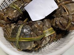 -蓝珊瑚蒸汽海鲜餐厅(龙奥店)