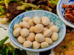 -腾冲国萍农家乐