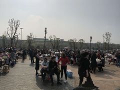 -枫香湖儿童公园