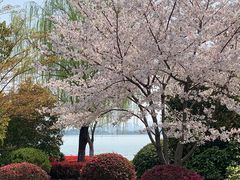 -石湖景区