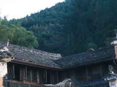 -杨家堂村