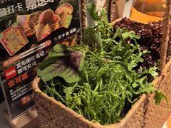 -芸山季·云南山珍菌火锅(南翔印象城MEGA店)