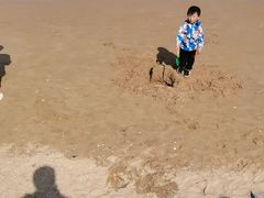 -日照灯塔风景区