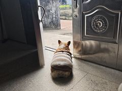 -海底捞火锅(番禺广场店)