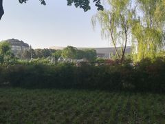 -郑州植物园