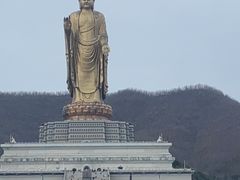 -中原大佛景区