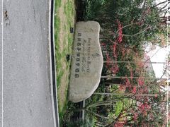 -杭州西子湖四季酒店-WL BISTRO西湖餐厅(灵隐路店)