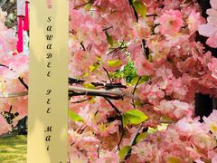 -槟城街头艺术街区