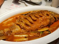 -阿五黄河大鲤鱼(英协路店)