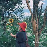 七月𝗦𝗨𝗠𝗠𝗘𝗥限定🌞母亲与向日葵🌻有约