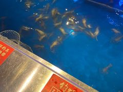 -钳真多钓虾馆·小龙虾海鲜烧烤(九六广场店)