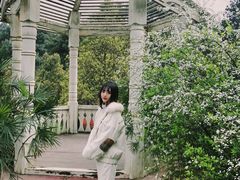 -铁山坪森林公园