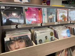 -浣熊唱片店(上海影城店)