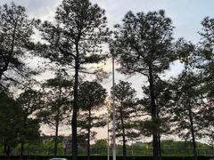 -同济大学(嘉定校区)