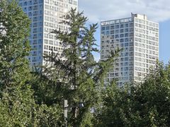 -北京中国大饭店