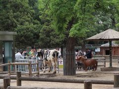 儿童区-北京动物园