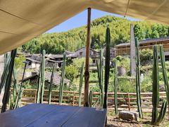 -MOJ coffee(瓯海泽雅水碓坑店)