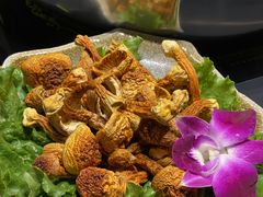-新草堂锅物料理(泉城路店)