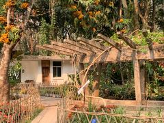 -中国科学院西双版纳热带植物园