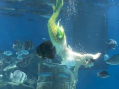 -海合安武汉极地海洋公园