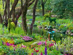 -上海共青森林公园