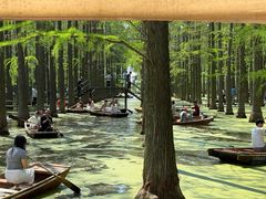 -渌洋湖湿地公园