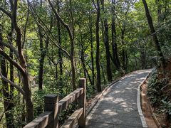 -广州市白云山风景名胜区