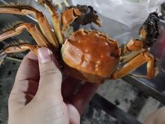 android_upload_pic-小象钓虾·营地烧烤(洛溪店)