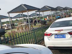 -南汇嘴观海公园