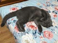 -爱诺耐芙动物医院(万博店)