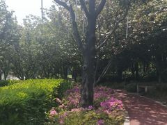 -北外滩滨江绿地