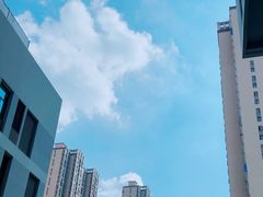 -上海市第四人民医院