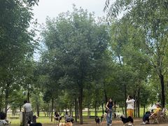 -爪吧宠物乐园 (温榆河示范区店)