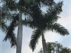 -广州市白云山风景名胜区