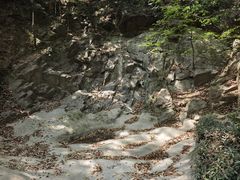 -上海佘山国家森林公园天马山园