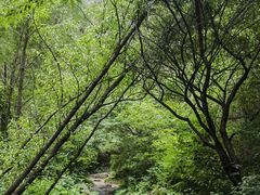 -龙门涧景区