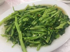 通菜-老三鱼仔店