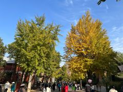 -子霖南山鲜虾面(南山总店)