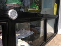 -洪记白水羊头(天坛店)