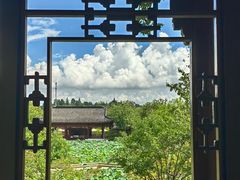 -上海滨江森林公园