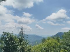 -大岭沟猕猴桃谷风景区