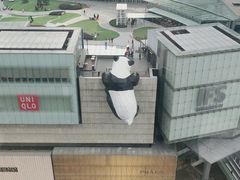 -老成都·古法采耳·禅洗头疗(四川总店)