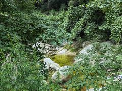 -陕西省红河谷森林公园