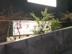 -海关荤豆花(洋河一路店)