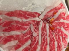 -小龙坎火锅(全球旗舰店)
