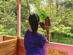 -日照海滨国家森林公园